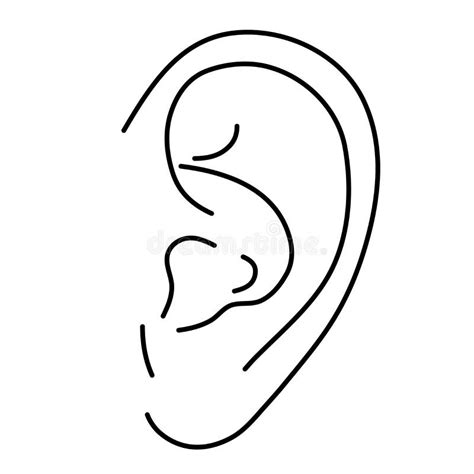 Human Ear From Black Contour Curves Lines On White Background Vector
