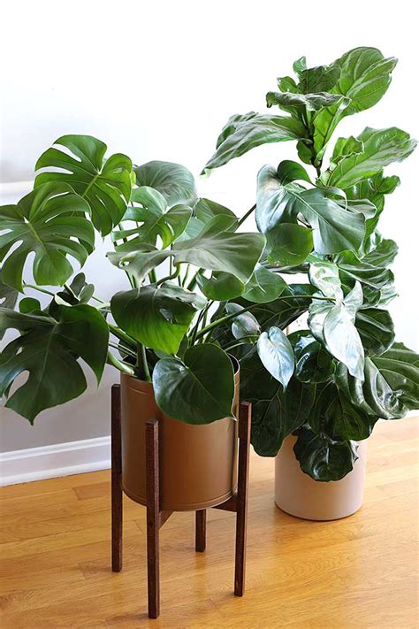 These eames era inspired planters are popping up everywhere, but what if you could make one for a fraction of the cost? Mid Century Plant Stand DIY - House of Hawthornes