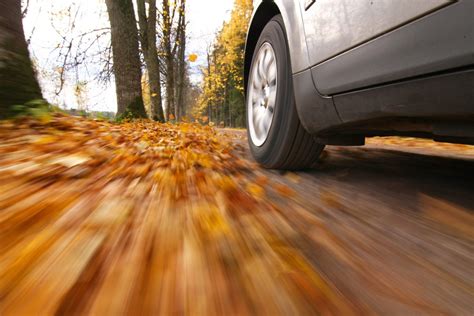 Fall Season Driving Hazards The Auto Warehouse 877 398 2755