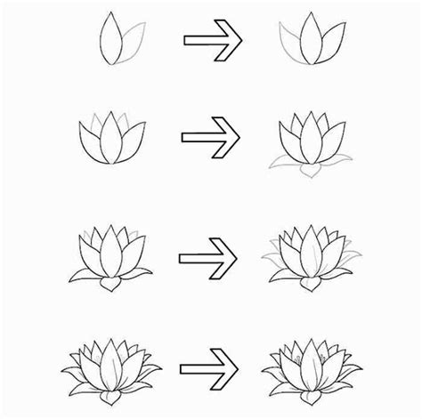 Cara Menggambar Bunga Yang Mudah Cilacap Klik