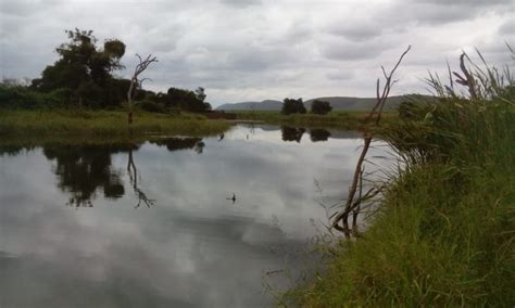 Cogta Warns About Swimming In Rivers And Dams Lowvelder