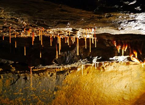 Aillwee Cave Atlantic Way Touring