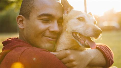 10 Scientific Benefits Of Being A Dog Owner Mental Floss