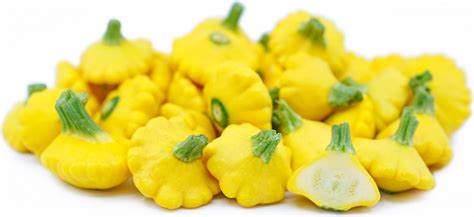 Yellow Bush Scallop Squash Recipes