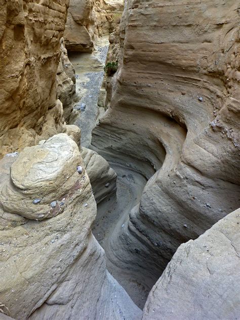 Palm Wash Anza Borrego Desert State Park California