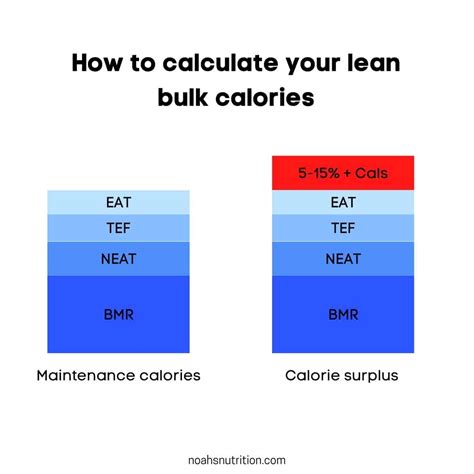 Macros For Lean Bulk How To Gain Muscle Without Gaining Fat