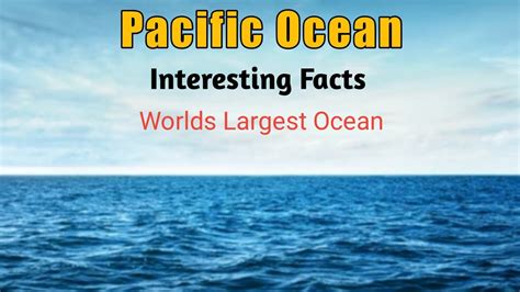 Interesting Facts About Pacific Ocean Pacific Ocean For Kids