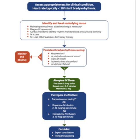 Acls Bradycardia With A Pulse Algorithm Flashcards Quizlet