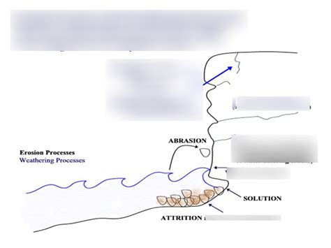 Processes Of Coastal Erosion Diagram Quizlet