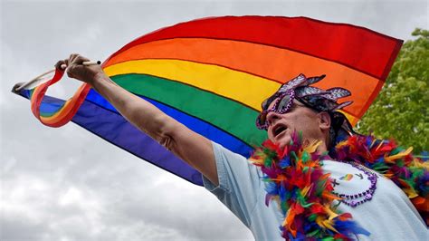Gay Flag Pride Parade Psadohost