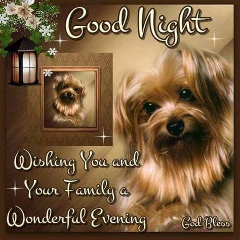 Cute Doggy Good Night Quote Pictures Photos And Images For Facebook