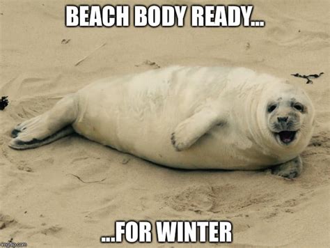 Beach Body Meme This New Wet Cat Meme Is Dominating The Internet Pics