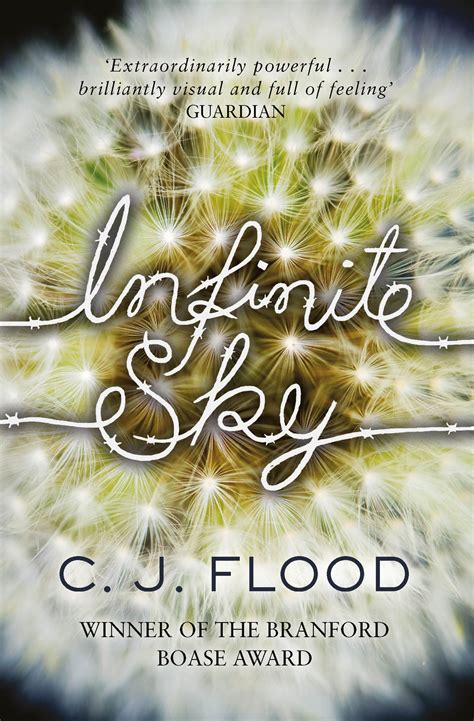 Infinite Sky Book By C J Flood Official Publisher Page Simon