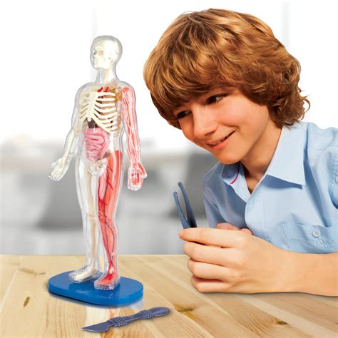 Smartlab Toys Squishy Human Body With 21 Removable Body Parts With