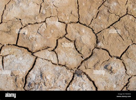 Surface Of The Dried Earth Covered With Salt Ecology Concept Of Wasted