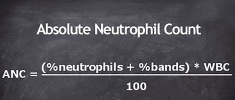 Absolute Neutrophil Count Performing Calculation American Nurse
