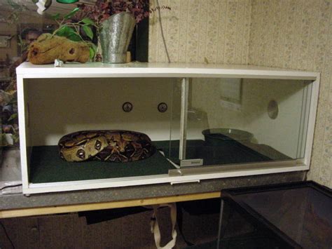 How To Build Enclosures For Reptiles Custom Snake Cages Arboreal