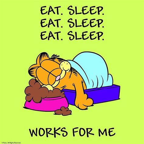 Sunday A Day Of Rest Garfield Cat Cats Catoftheday Catsagram