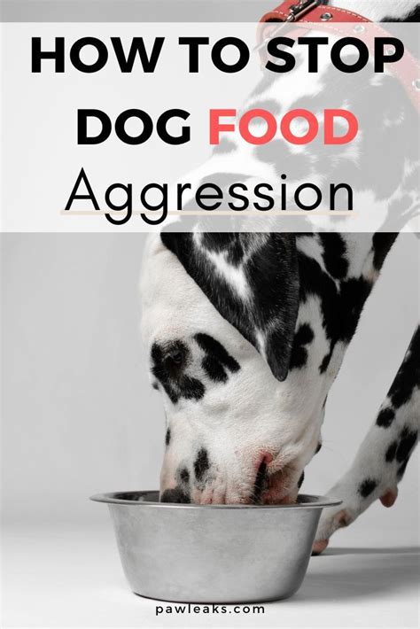How To Stop Food Aggression In Dogs Artofit