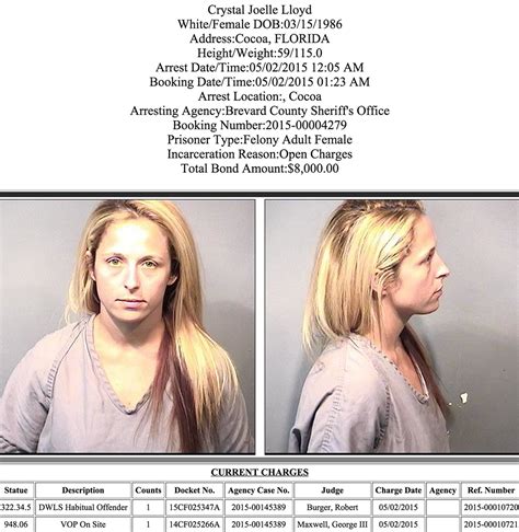 arrests in brevard county may 3 2015 space coast daily