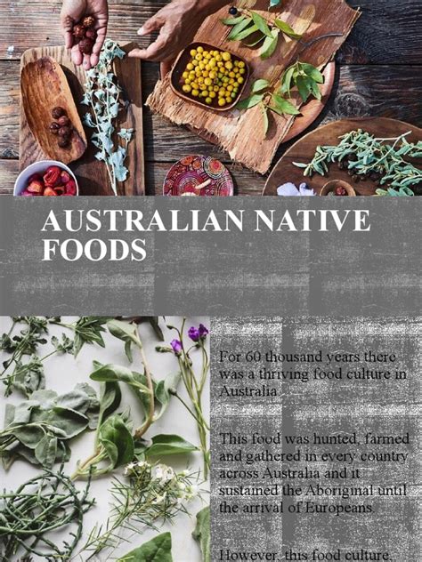 Australian Native Foods Pdf Fruit Preserves Chutney