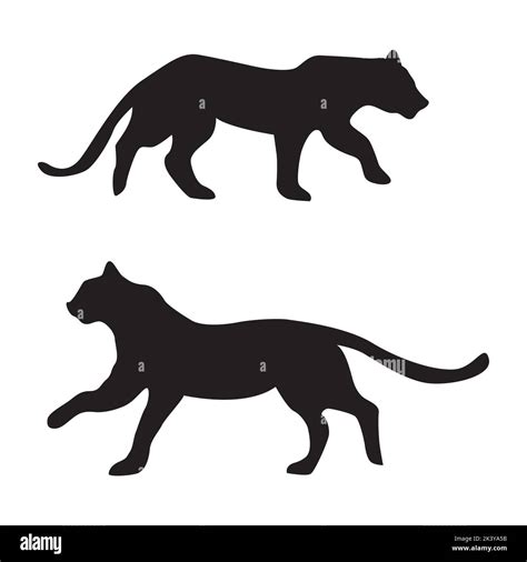 Vector Set Of Tigers Silhouettes Illustration Isolated On White