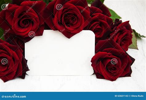 Red Roses And Greeting Card Stock Image Image Of Floral Beauty 63601143
