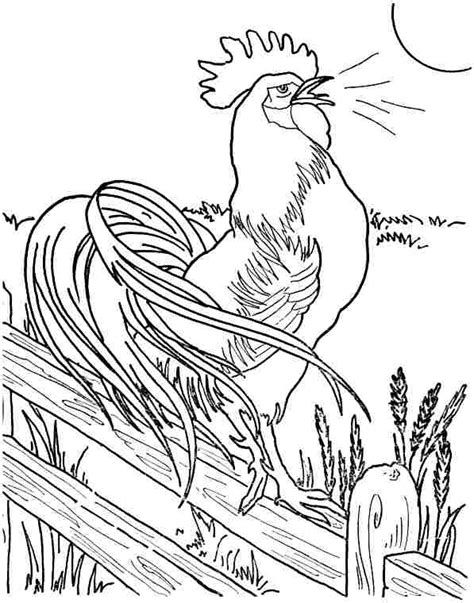 Top 10 best rooster coloring pages for kids: 7 Best Images of Printable Pictures Of Roosters Printable Rooster Coloring Page, Rooster ...