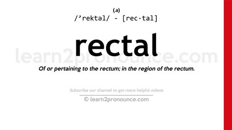 pronunciation of rectal definition of rectal youtube