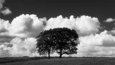7 Helpful Tips For Better Black And White Landscape Images Fstoppers