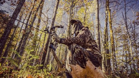 Bowhunting For Beginners Tips Gear And Advice • Advanced Hunter