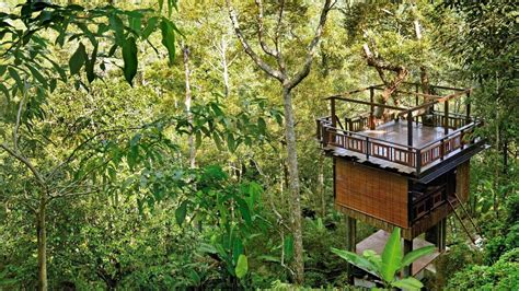 Most houses and apartments in malaysia have 3 or more bedrooms. 11 Treehouse Hotels In Malaysia For A True Escape Away ...