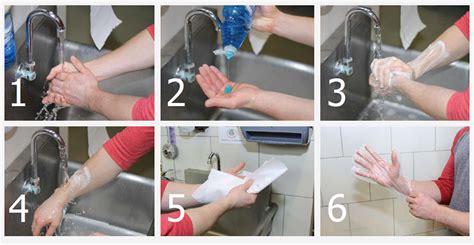 Lesson 2 Personal Hygiene And Handwashing Cooperative Extension