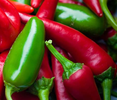 Vegetables Patio Lawn And Garden Jalapeno Pepper Very Hot Variety Seeds Red