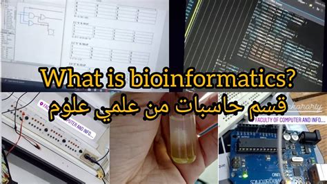 حاسبات ومعلومات شبين الكوم 379.0. bioinformaics : ايه قسم حاسبات و معلومات علمي علوم؟ - YouTube
