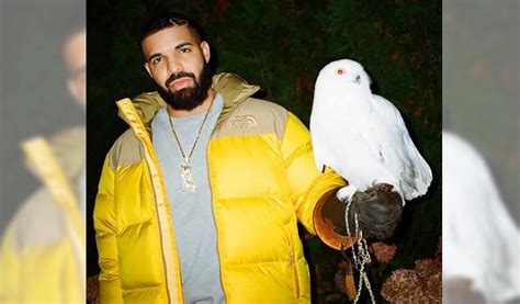 Drake Roasts Fan Who Threw Vape At Him At New York Concert Telangana Today