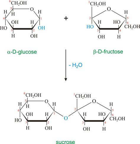 Sucrose Chemistry Dictionary And Glossary
