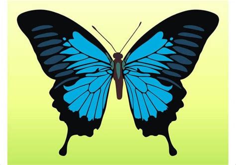 9 Butterfly Illustrations Free And Premium Templates
