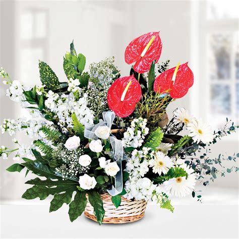 Send Flowers Turkey Anthurium Gillyflower Rose Gerbera In Basket From