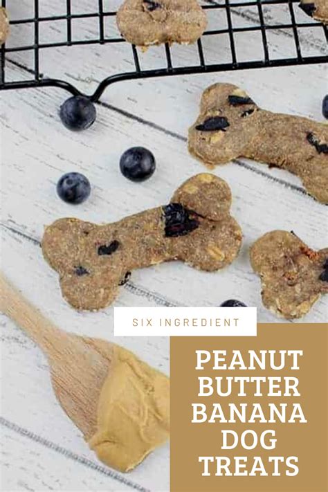 Peanut Butter Banana Dog Treats With Blueberries A Simple Dog Treat