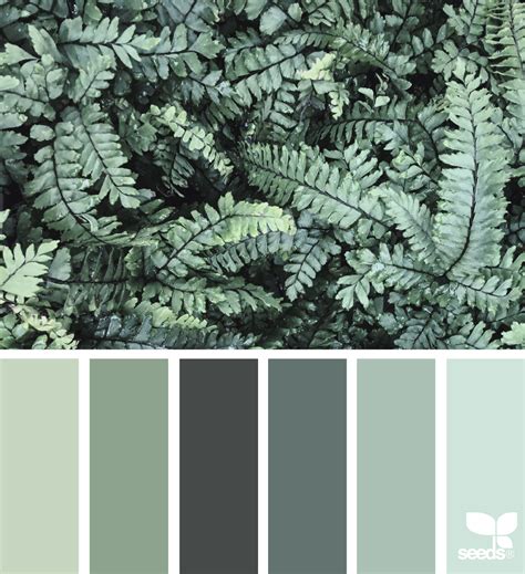 Color Nature Green Colour Palette Color Schemes Palette