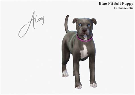 Aloy Pitbull Puppy At Blue Ancolia Sims 4 Updates