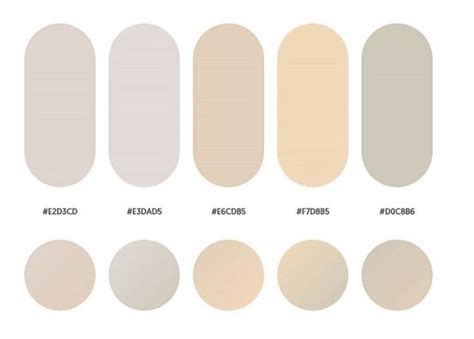 The Different Shades Of Beige And Neutrals In Each Color Swatch On A