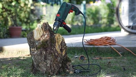 The Cost And Methods Of Removing A Tree Stump