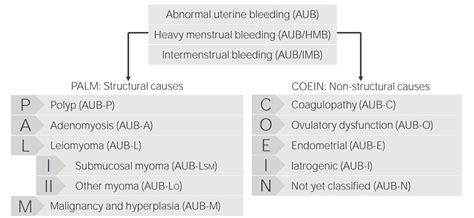 Abnormal Uterine Bleeding Concise Medical Knowledge