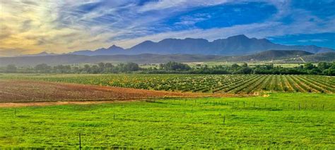 71ha Arable Klein Karoo Pomegranate Farm Land De Rust Oudtshoorn