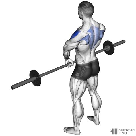 Upright Row How To Strength Level