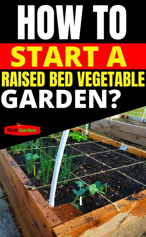 How To Start A Raised Bed Vegetable Garden Vegetable