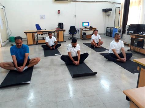 International Yoga Day 2022 Celebration At Nielit Kurukshetra