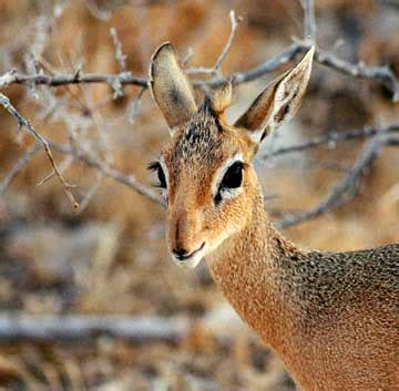 How To Turn Off Main Water Supply At Street Uk United Utilities - Drinking Water Quality